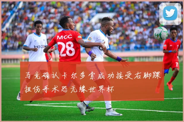 马竞确认卡尔多索成功接受右脚踝扭伤手术恐无缘世界杯