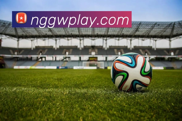 App Interface Preview